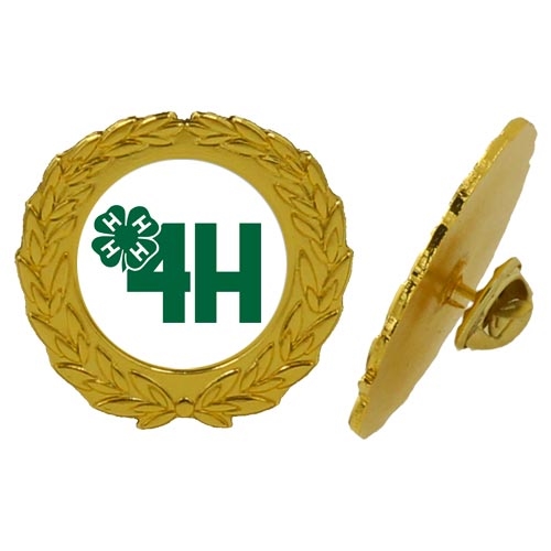 Quick pins guld - pins med eget logo 1