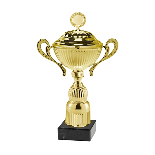 Pokal Chicago gull