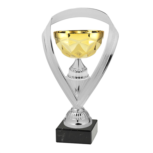 Pokal Glasgow gull