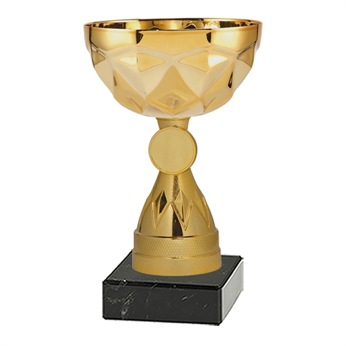 Pokal Bristol gull