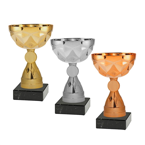 Pokal Bristol