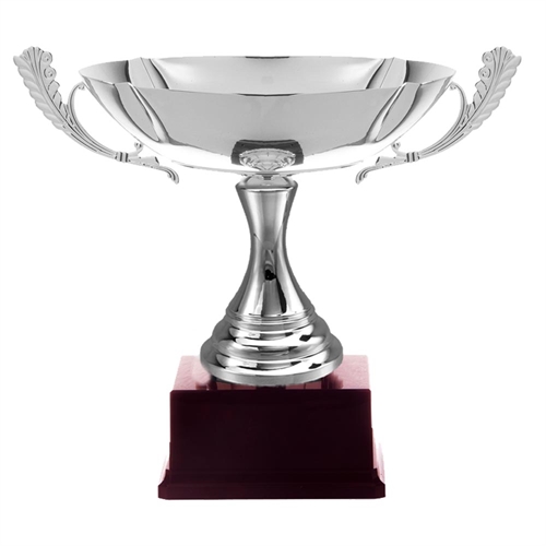 Pokal Avignon
