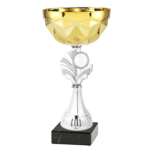 Pokal Torino gull