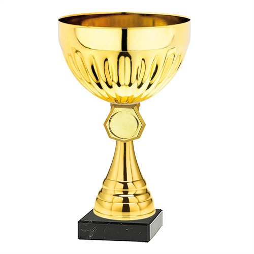 Pokal Birmingham gull